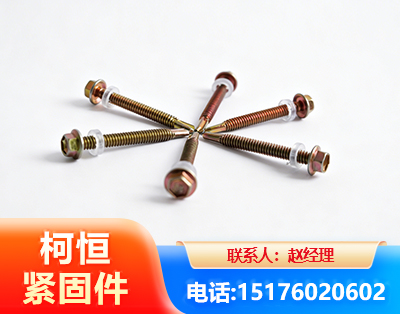 嘉峪关六角钻尾丝